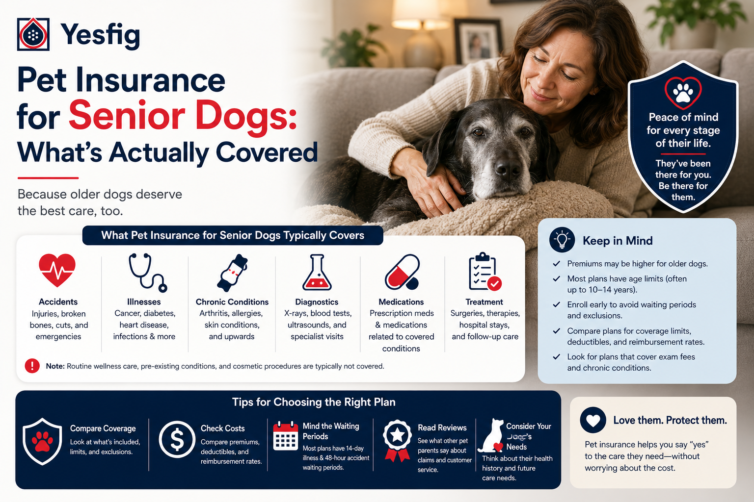 Pet Insurance for Senior Dogs- What's Actually Covered.png