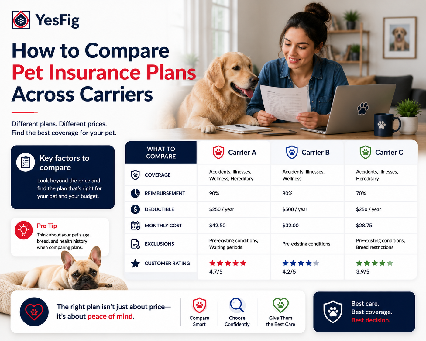 How to Compare Pet Insurance Plans Across Carriers.png