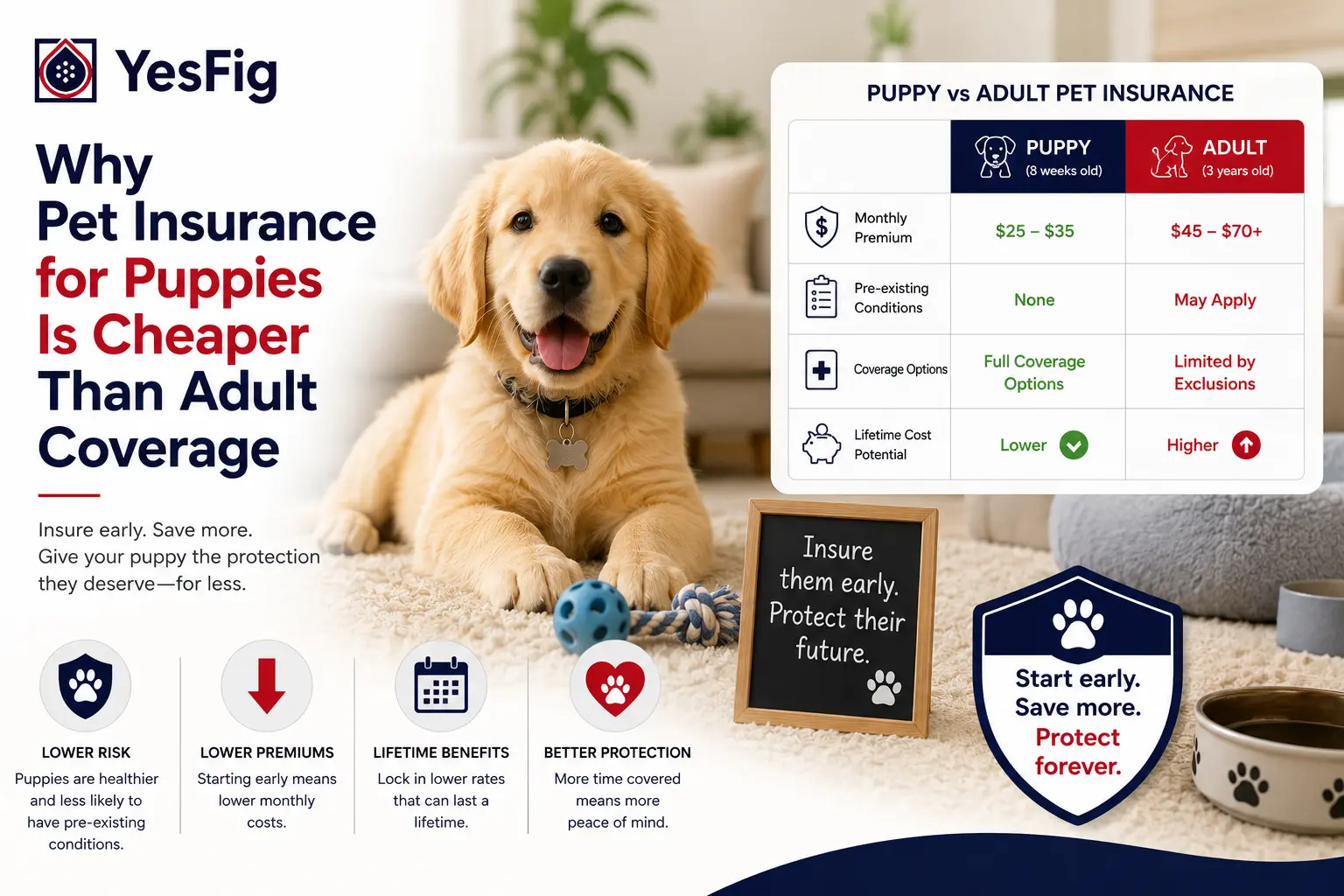 Why Pet Insurance for Puppies Is Cheaper Than Adult Coverage.webp