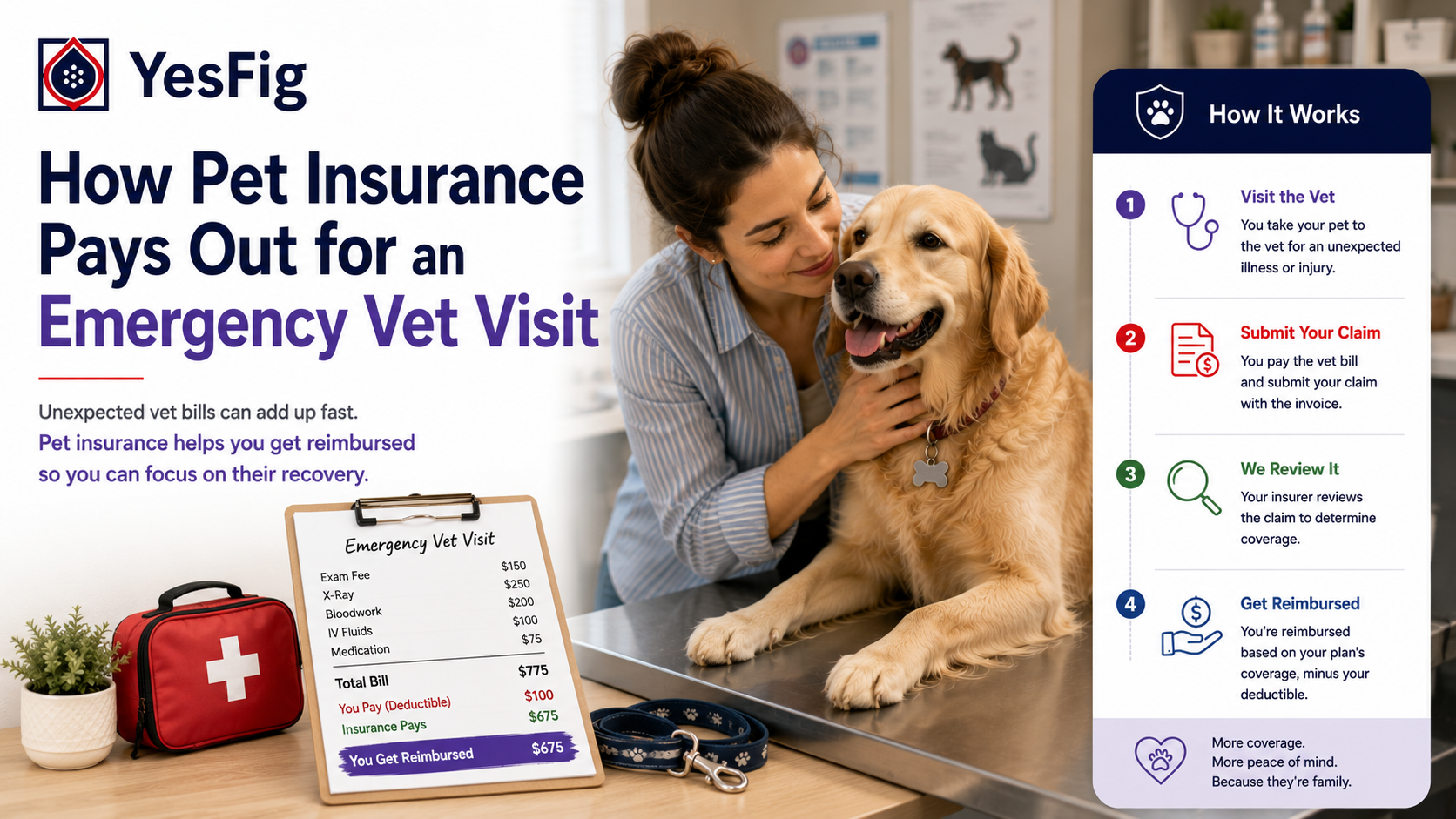 How Pet Insurance Pays Out for an Emergency Vet Visit.png