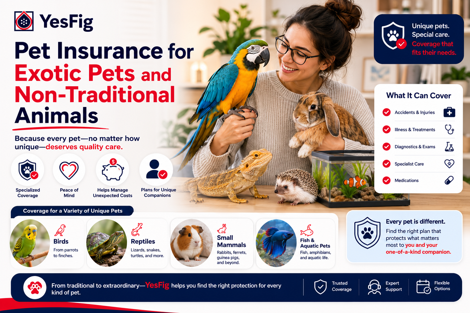 Pet Insurance for Exotic Pets and Non-Traditional Animals.png