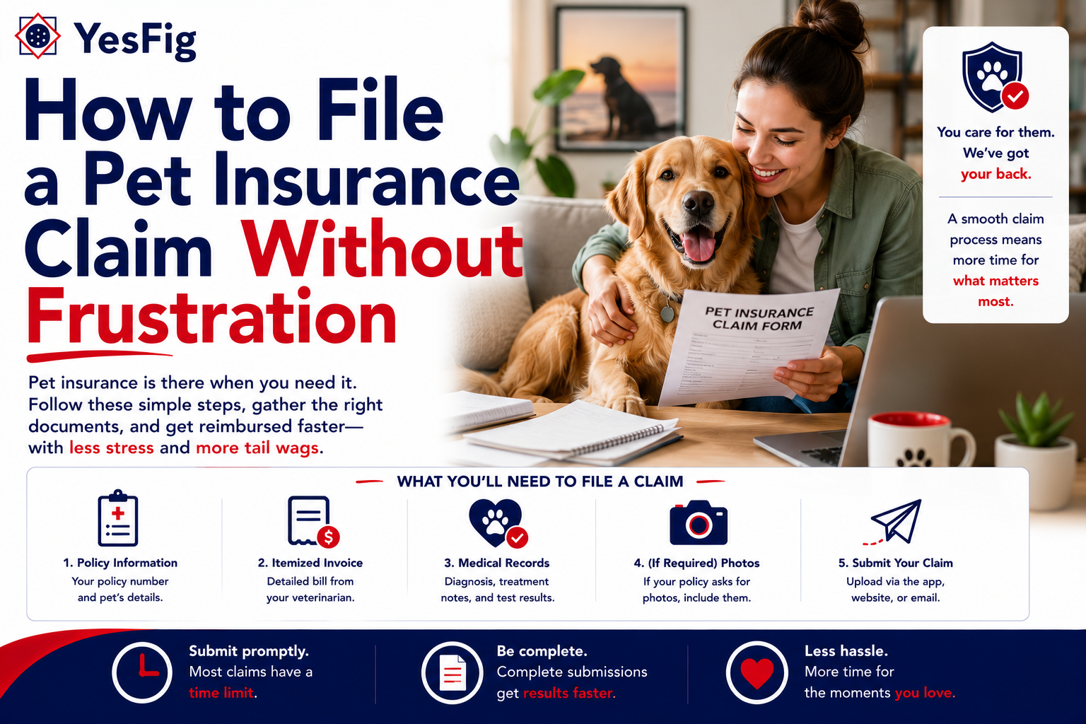 How to File a Pet Insurance Claim Without Frustration.png